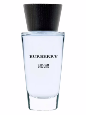 Burberry touch edt 30ml spray